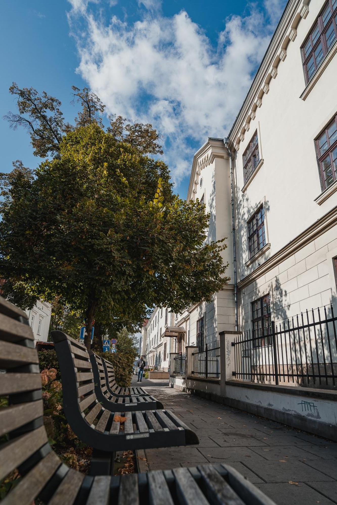 H11 Aparthotel Cracovia Esterno foto The tree in 2018